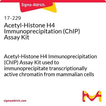 Acetyl-Histone H4 Immunoprecipitation (ChIP) Assay Kit Acetyl-Histone H4 Immunoprecipitation (ChIP) Assay Kit used to immunoprecipitate transcriptionally active chromatin from mammalian cells using anti-Acetyl-Histone H4, ChIP grade rabbit antiserum.