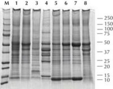 Total Protein Extraction Kit