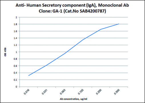 Anti-Secretory Component (IgA) antibody, Mouse monoclonal clone GA-1, purified from hybridoma cell culture