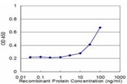Monoclonal Anti-GRIN2B antibody produced in mouse clone 2G5, purified immunoglobulin, buffered aqueous solution