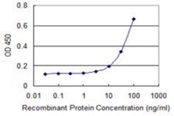 Monoclonal Anti-SERPINI1, (C-terminal) antibody produced in mouse clone 1E10, purified immunoglobulin, buffered aqueous solution