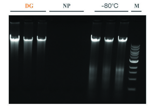 DNAgard&#174; Tissue 100 mL bottle, for room temp preservation of DNA