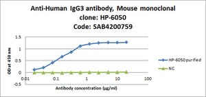Anti-Human IgG3 antibody, Mouse monoclonal clone HP-6050, purified from hybridoma cell culture