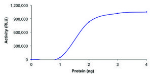 PDE1A, active, His tagged human recombinant, expressed in baculovirus infected Sf9 cells, ≥70% (SDS-PAGE), buffered aqueous glycerol solution
