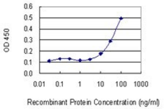 Monoclonal Anti-SNRPB, (N-terminal) antibody produced in mouse clone 1B4, purified immunoglobulin, buffered aqueous solution