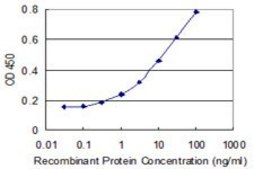 Monoclonal Anti-PFS2, (N-terminal) antibody produced in mouse clone 3H4, purified immunoglobulin, buffered aqueous solution