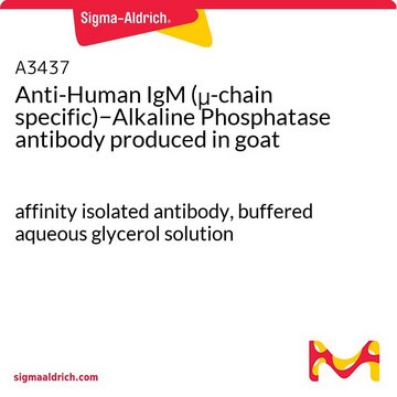 抗-人 IgM（&#956;-链特异性）&#8722;碱性磷酸酶 山羊抗 affinity isolated antibody, buffered aqueous glycerol solution