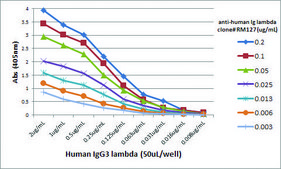 Anti-Human Lambda Light Chain-Biotin antibody, Rabbit monoclonal recombinant, expressed in HEK 293 cells, clone RM127, purified immunoglobulin