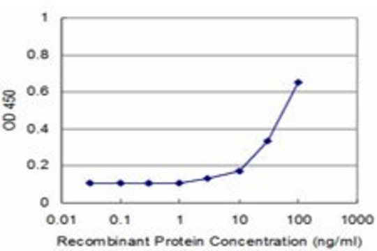 Monoclonal Anti-RPS20 antibody produced in mouse clone 1G12, purified immunoglobulin, buffered aqueous solution