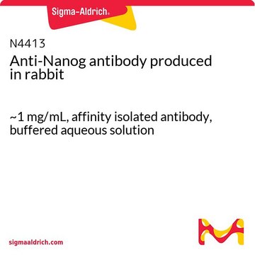 Anti-Nanog antibody produced in rabbit ~1&#160;mg/mL, affinity isolated antibody, buffered aqueous solution