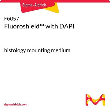 Fluoroshield&#8482; 封固剂（含DAPI） histology mounting medium