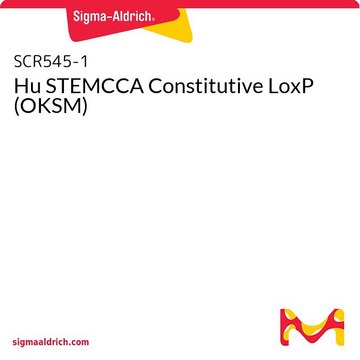 Hu STEMCCA Constitutive LoxP (OKSM)