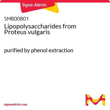 Lipopolysaccharides from Proteus vulgaris purified by phenol extraction