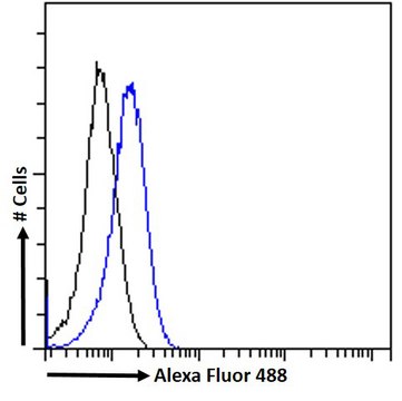 Anti-RGS14 antibody produced in goat affinity isolated antibody, buffered aqueous solution