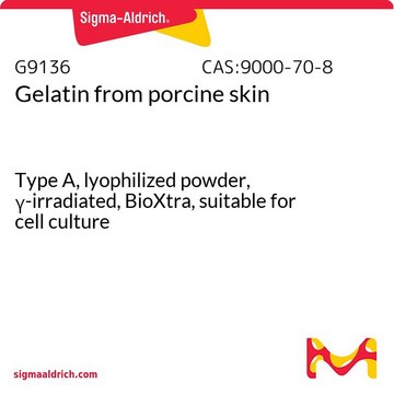 Gelatin from porcine skin Type A, lyophilized powder, &#947;-irradiated, BioXtra, suitable for cell culture