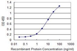 Monoclonal Anti-C9orf95 antibody produced in mouse clone 2A10, purified immunoglobulin, buffered aqueous solution