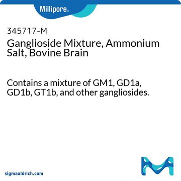 Ganglioside Mixture, Ammonium Salt, Bovine Brain Contains a mixture of GM1, GD1a, GD1b, GT1b, and other gangliosides.