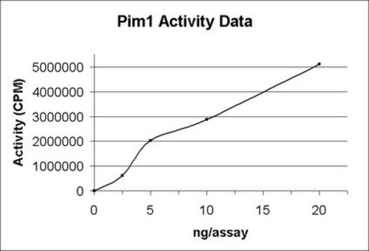 Pim1 Protein, active, 10 &#181;g Active, N-terminal GST-tagged recombinant human full length Pim-1, for use in Kinase Assays.