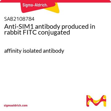 Anti-SIM1 antibody produced in rabbit FITC conjugated affinity isolated antibody