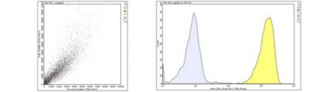 Anti-CD9 Antibody, clone Z9.1 clone Z9.1, from mouse