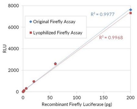 Firefly Luciferase Assay (Lyophilized) Lyophilized flash-type luciferase assay designed for simple and efficient quantitation of firefly luciferase reporter enzyme activity from cultured cells with high sensitivity and linearity.