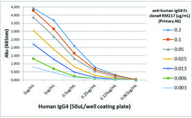 Anti-Human IgG4 fc antibody, Rabbit monoclonal recombinant, expressed in HEK 293 cells, clone RM217, purified immunoglobulin