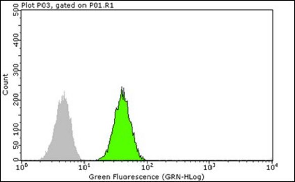 Anti-mTOR Antibody, clone 21D8.2 clone 2ID8.2, from mouse