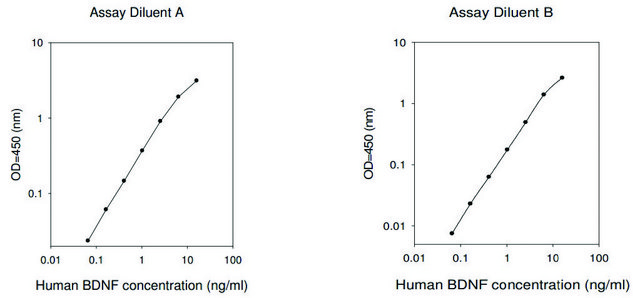 Human BDNF ELISA Kit for serum, plasma, cell culture supernatant and urine