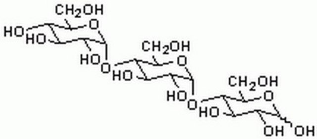 Maltotriose A substrate for amylomaltase.