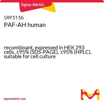 PAF-AH human recombinant, expressed in HEK 293 cells, &#8805;95% (SDS-PAGE), &#8805;95% (HPLC), suitable for cell culture