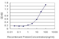 Monoclonal Anti-FVT1 antibody produced in mouse clone 2B2-3C11, purified immunoglobulin, buffered aqueous solution