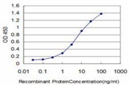 Monoclonal Anti-DDX54 antibody produced in mouse clone 5B3, purified immunoglobulin, buffered aqueous solution