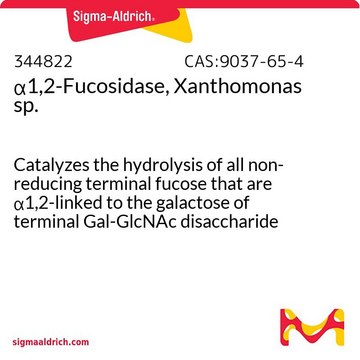 &#945;1,2-Fucosidase, Xanthomonas sp. Catalyzes the hydrolysis of all non-reducing terminal fucose that are &#945;1,2-linked to the galactose of terminal Gal-GlcNAc disaccharide structures.