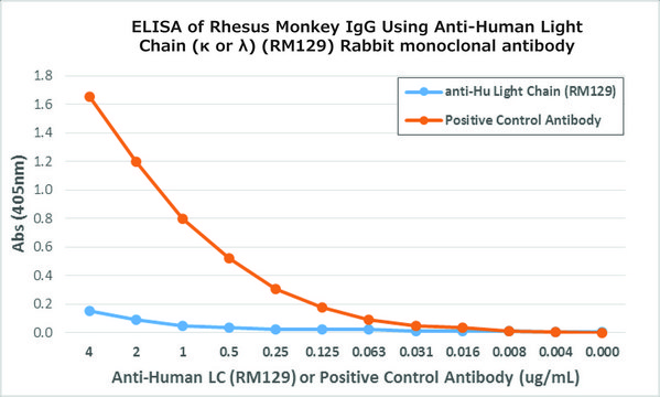 Anti-Human Ig Light Chain antibody, Rabbit monoclonal recombinant, expressed in HEK 293 cells, clone RM129, purified immunoglobulin