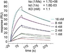 Alpaca Anti-GFP, recombinant single domain Antibody Recombinant Alpaca(VHH) Nano antibody