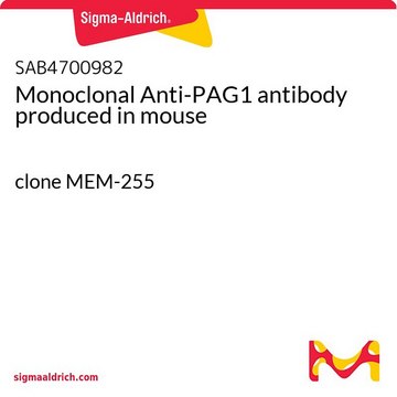 Monoclonal Anti-PAG1 antibody produced in mouse clone MEM-255