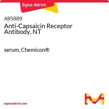 Anti-Capsaicin Receptor Antibody, NT serum, Chemicon&#174;