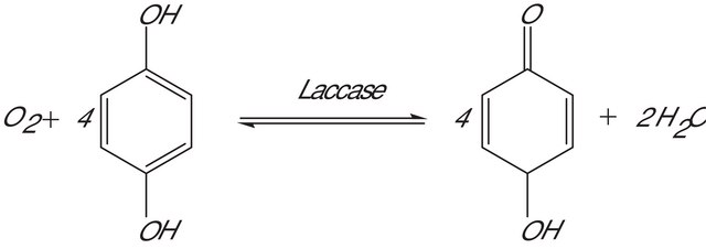 漆酶 来源于漆树 crude acetone powder, &#8805;50&#160;units/mg solid