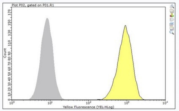 Anti-EphA2 Antibody, clone F2-27 clone F2-27, from mouse