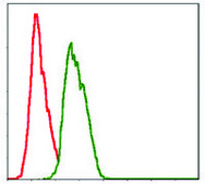 Monoclonal Anti-NEDD8 antibody produced in mouse clone 1A7, purified immunoglobulin, buffered aqueous solution