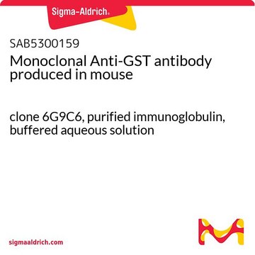 单克隆抗- GST 小鼠抗 clone 6G9C6, purified immunoglobulin, buffered aqueous solution