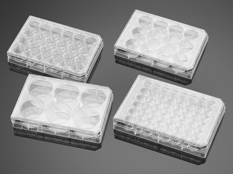 Corning&#174; BioCoat&#8482; Poly-D-Lysine Multiwell Plate well size 48&#160;wells, flat bottom clear wells, lid