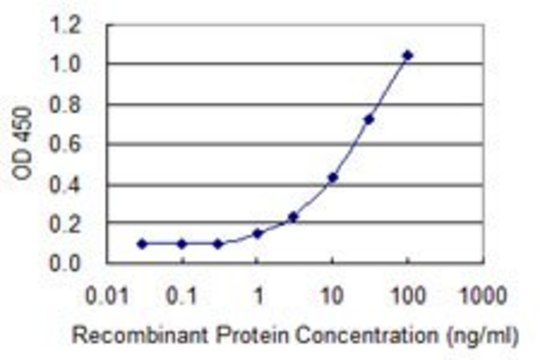 Monoclonal Anti-KLK5, (C-terminal) antibody produced in mouse clone 3H3, purified immunoglobulin, buffered aqueous solution