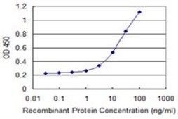 Monoclonal Anti-PAXIP1 antibody produced in mouse clone 4C11, purified immunoglobulin, buffered aqueous solution