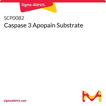 Caspase 3 Apopain Substrate