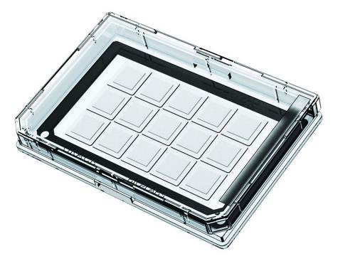 Grace Bio-Labs MultiSlip&#8482; coverglass inserts, with chambered coverglass L × W 12&#160;mm × 12&#160;mm, sterile, wells 15