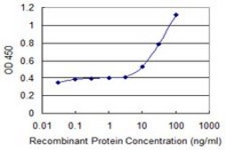 Monoclonal Anti-ABCF1 antibody produced in mouse clone 1B4, purified immunoglobulin, buffered aqueous solution