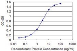 Monoclonal Anti-GMPS antibody produced in mouse clone 6B5, purified immunoglobulin, buffered aqueous solution