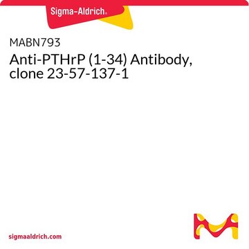 Anti-PTHrP (1-34) Antibody, clone 23-57-137-1