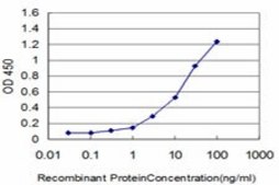 ANTI-FOXQ1 antibody produced in mouse clone 4H8, purified immunoglobulin, buffered aqueous solution